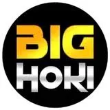 BIGHOKI - Pertarungan Epik di Dunia Aksi
